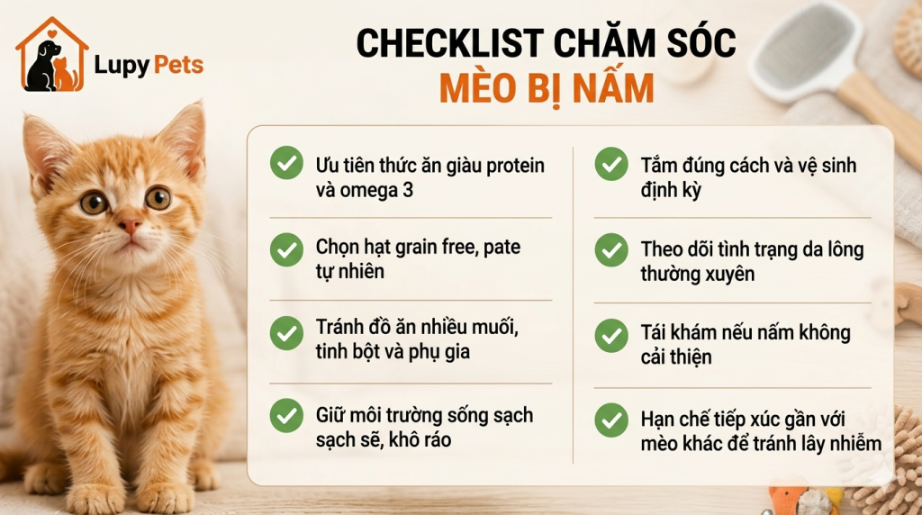 checklist-cham-soc-va-thuc-an-cho-meo-bi-nam-day-du