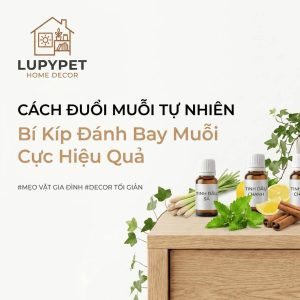 anh đại điện bài viết