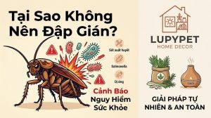 Tại sao không nên dẫm gián